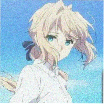 宋佳